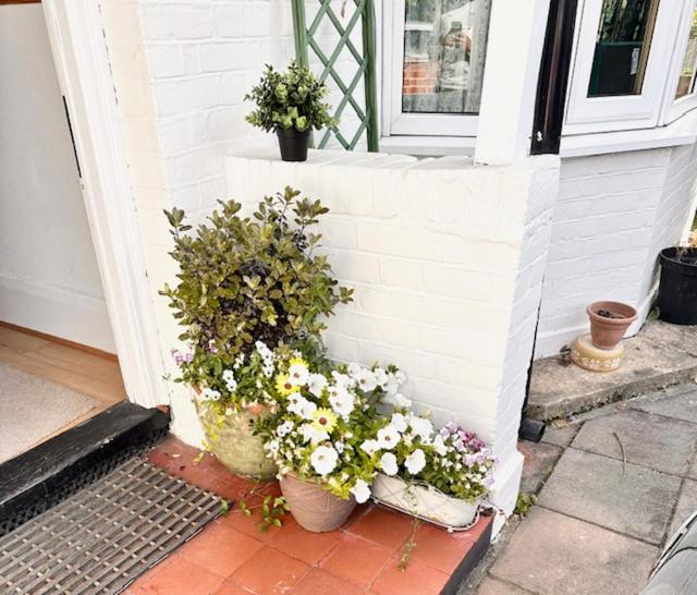 Catford 4 Bed House In Daneby Road,Se6 빌라 외부 사진
